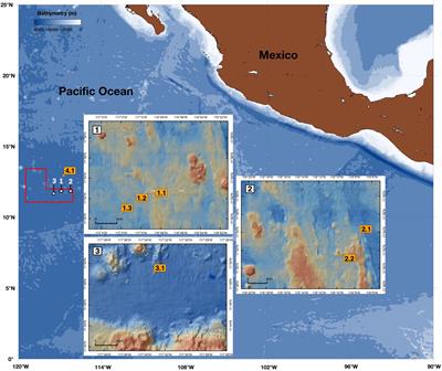 Vertical Distribution of Particulate Matter in the Clarion Clipperton Zone (German Sector)—Potential Impacts From Deep-Sea Mining Discharge in the Water Column